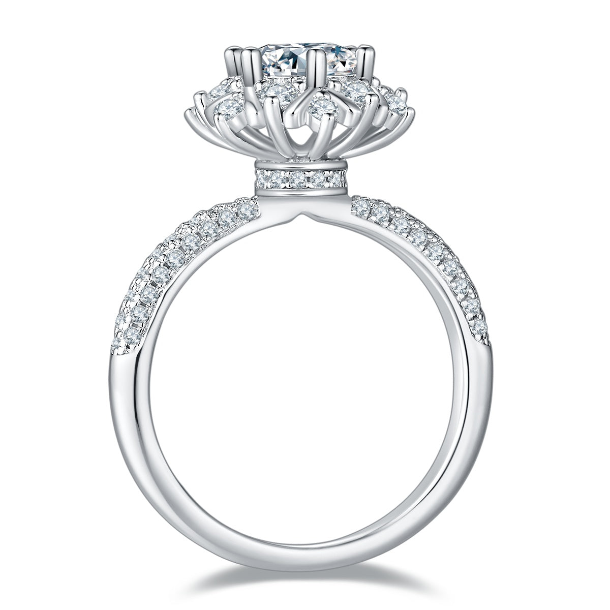 1-carat Luxury Silver Ring Set With Top-quality Moissanite D Color VVS, S925 Silver Plated Platinum