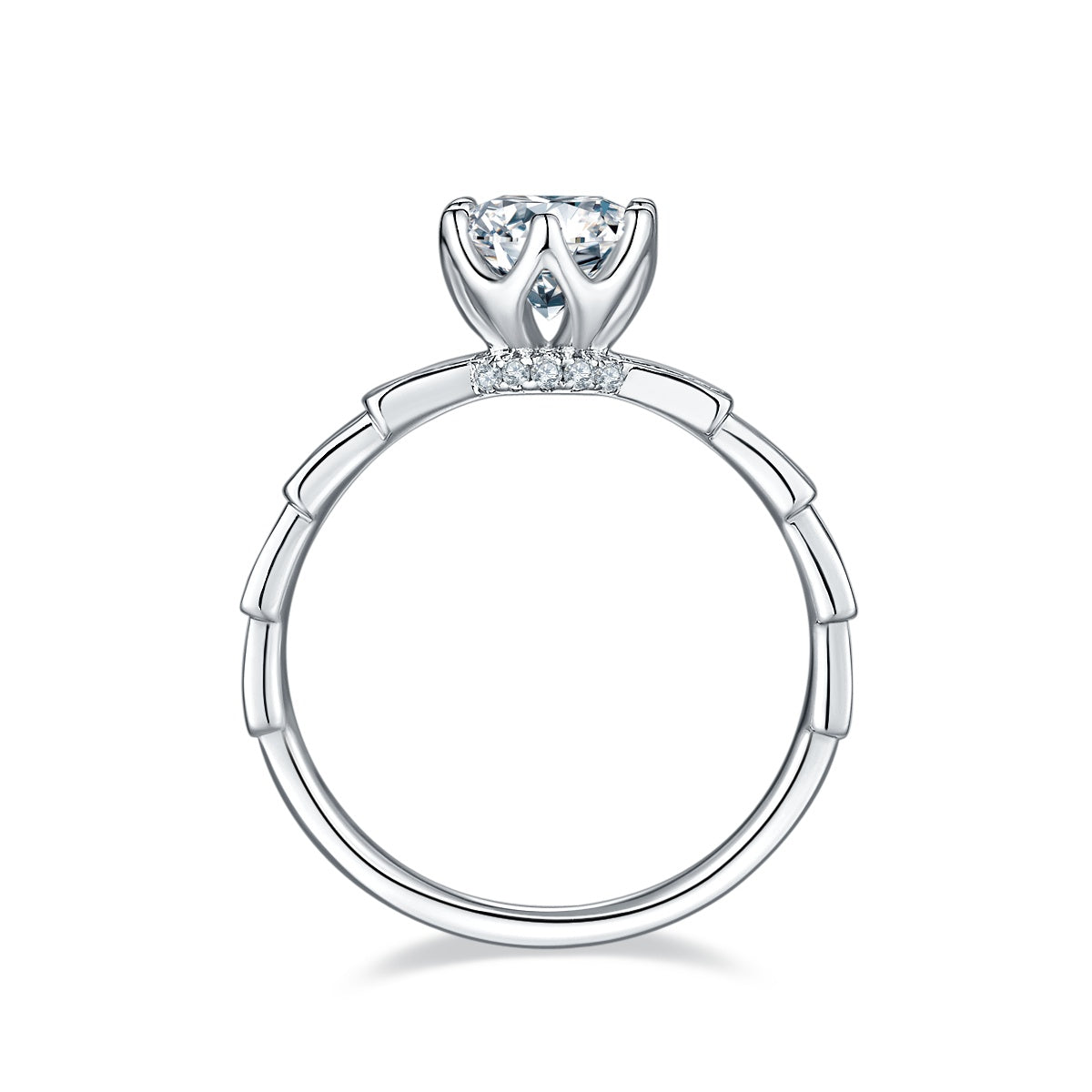 1-carat Luxury Silver Ring Set With Top-quality Moissanite D Color VVS, S925 Silver Plated Platinum