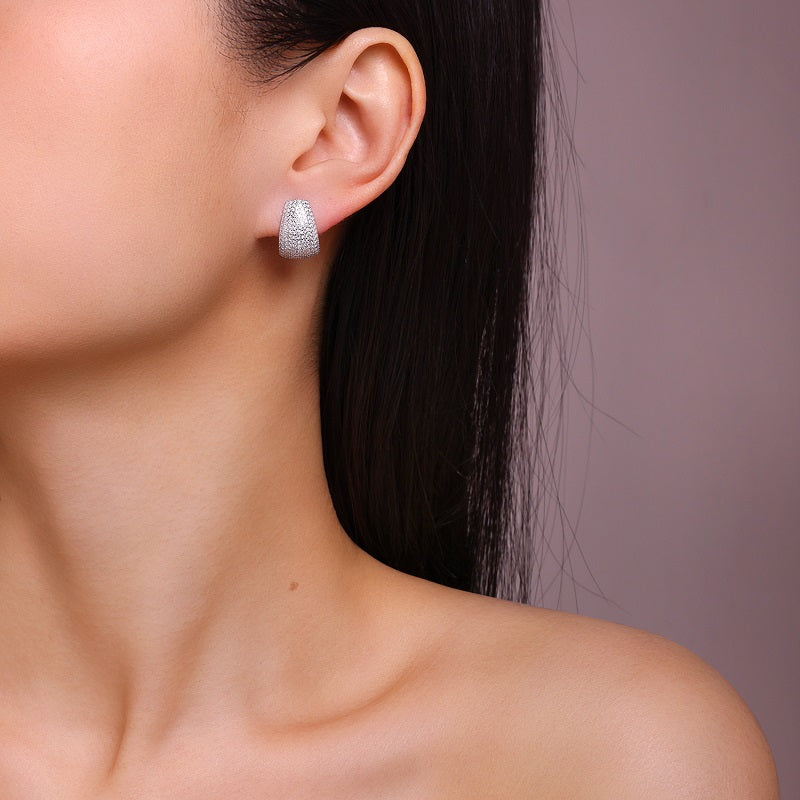 Top-quality Moissanite Luxury Silver Stud Earrings S925 Silver Plated Platinum