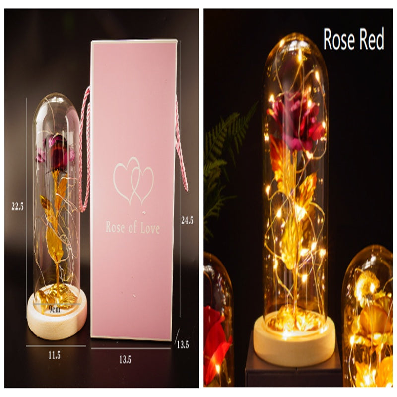Galaxy Enchanted Rose in Glass Dome with LED Lights | Forever Flower Gift